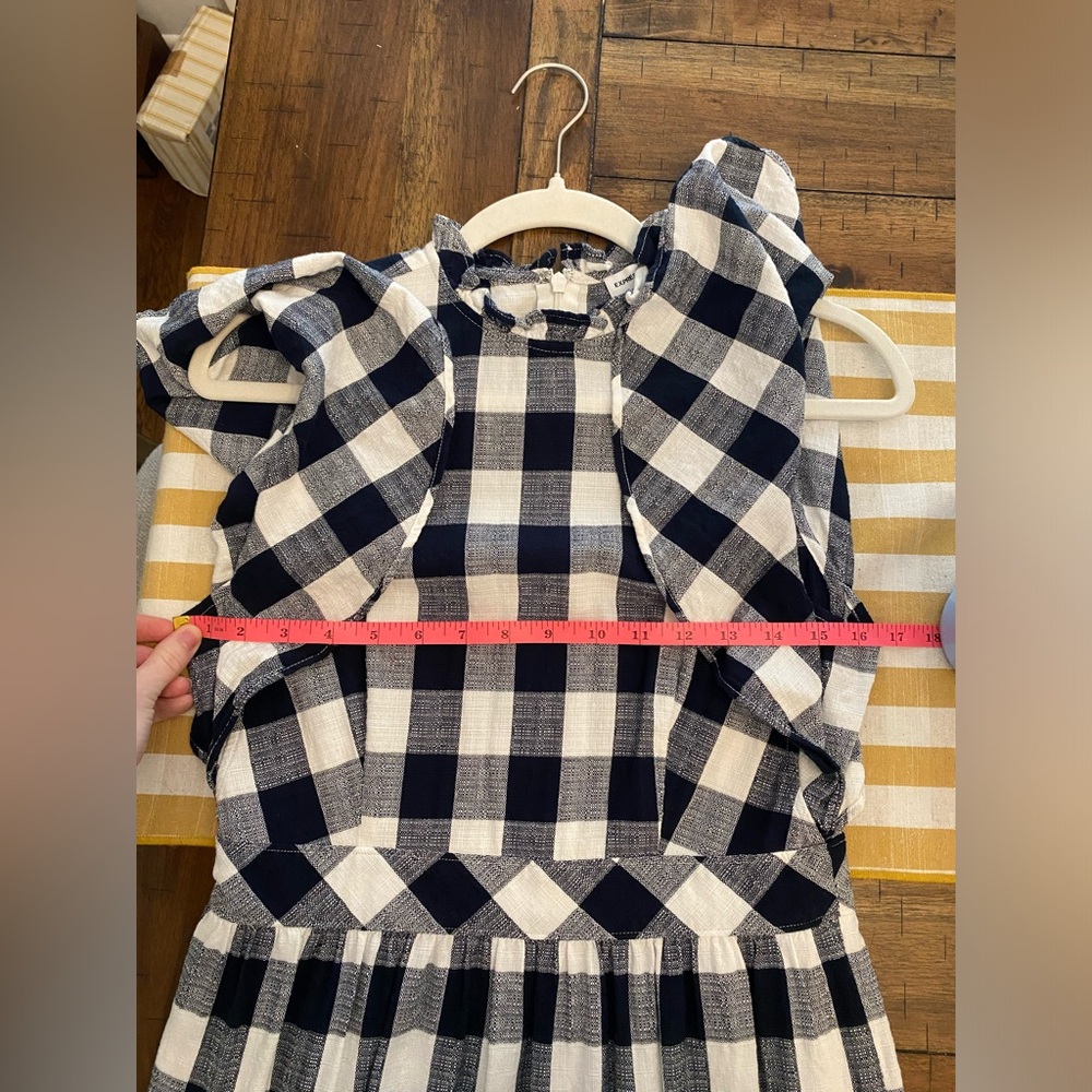 Express x Lady Gang Gingham Dress! - Picture 11 of 11